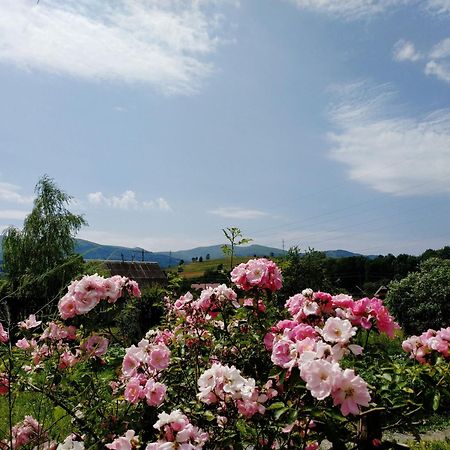 Nestg Guest House Pilipets 외부 사진