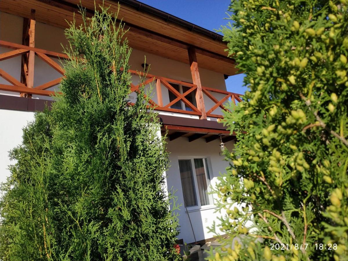 Nestg Guest House Pilipets 외부 사진