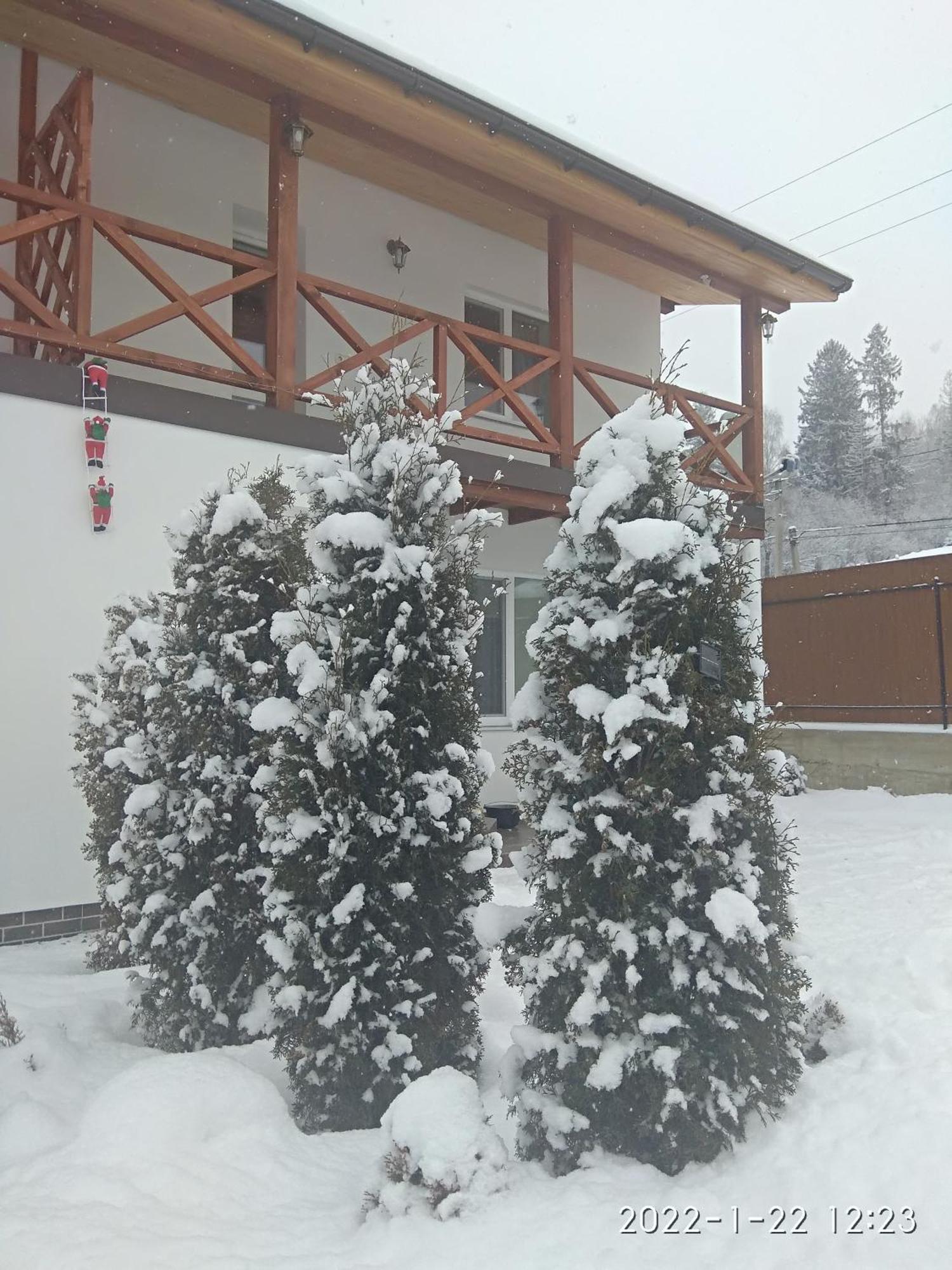 Nestg Guest House Pilipets 외부 사진