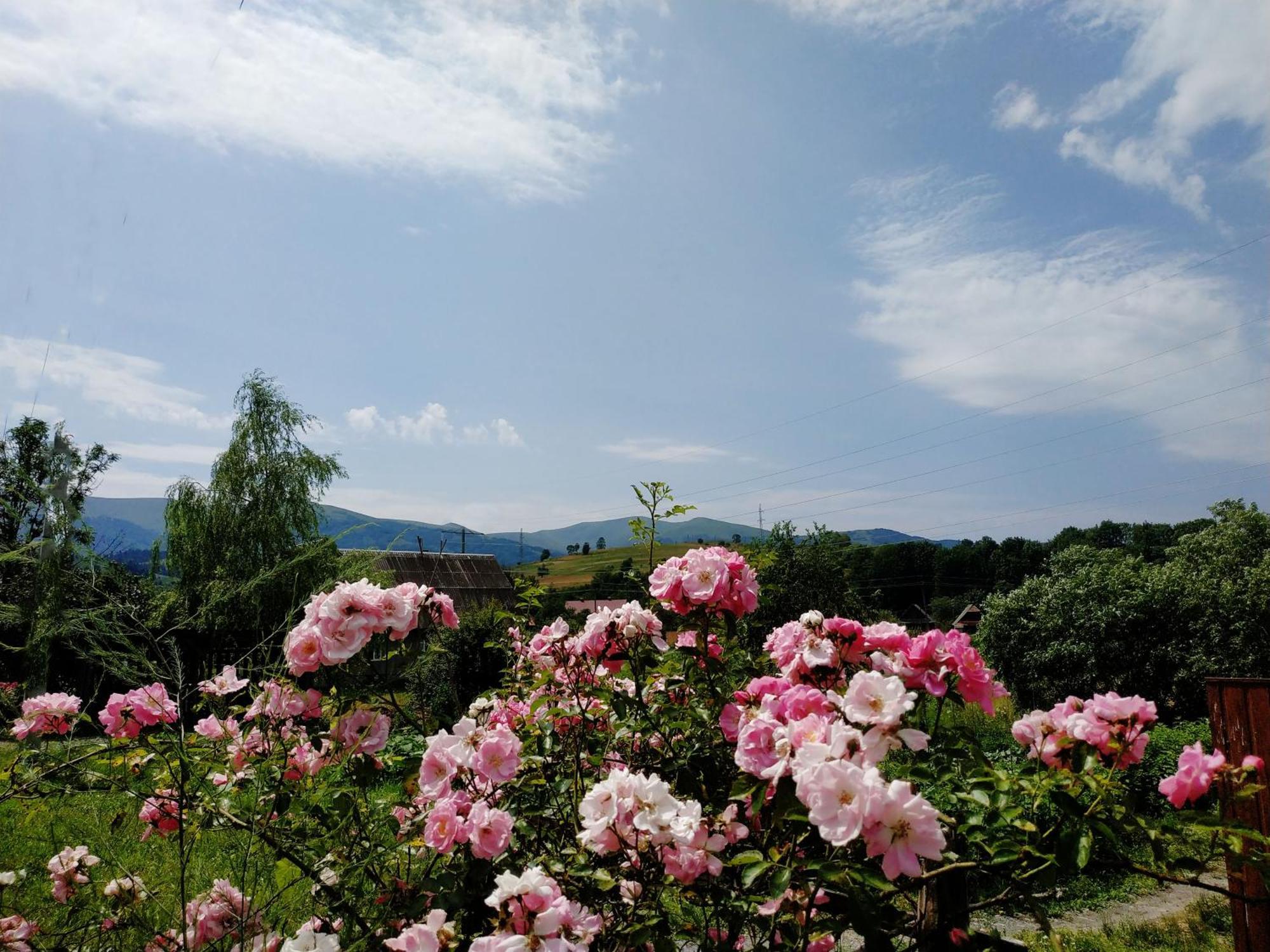 Nestg Guest House Pilipets 외부 사진